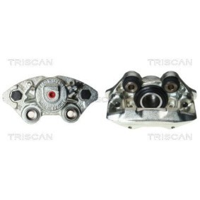Comprar Polea tensora, correa trapezoidal de TRISCAN 8641 251013 a bajo precio de 100,86 €