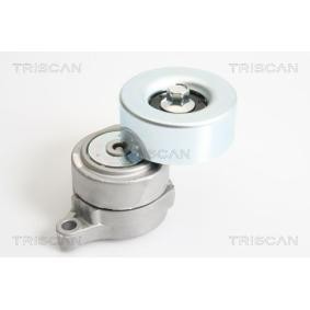 Comprar Brazo tensor, correa poli V de TRISCAN 8641 683001 a bajo precio de 114,00 €