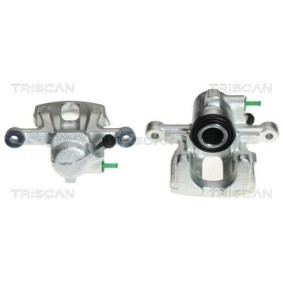 Riemenscheibe, Kurbelwelle 8643 10009 von TRISCAN günstig für 107,23 € online kaufen
