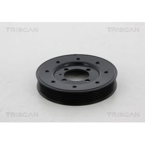 Riemenscheibe, Kurbelwelle 8643 24003 von TRISCAN günstig für 200,82 € online kaufen