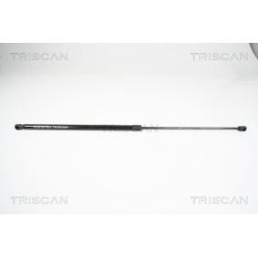 Motorhaubendämpfer 8710 29129 von TRISCAN günstig für 30,49 € online kaufen