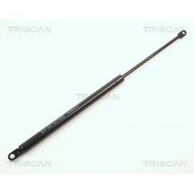 Compre Maletero de TRISCAN online para 99 Combi Coupe a precios moderados