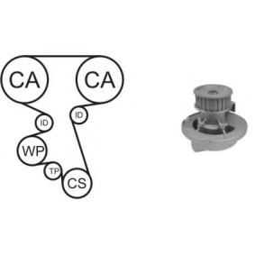 Achetez des Kit de distribution + pompe à eau AIRTEX WPK-164202 à prix pour 135,02 €
