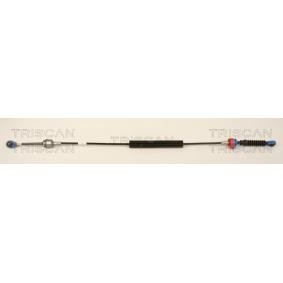 Seilzug, Schaltgetriebe 8140 25704 von TRISCAN günstig für 69,90 € online kaufen