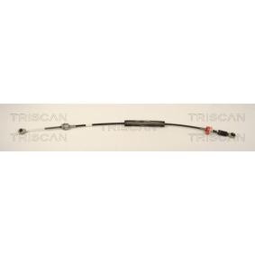 Seilzug, Schaltgetriebe 8140 25710 von TRISCAN günstig für 100,94 € online kaufen