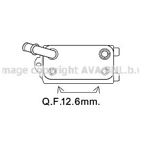 Acquista Radiatore olio, Cambio automatico da PRASCO VO3170 a buon mercato per soli 68,44 €