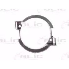 Acquista Griglia paraurti da BLIC 6502-07-1301994P a buon mercato per soli 6,69 €