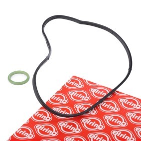 Dichtungssatz, Wasserpumpe 359.200 von ELRING günstig für 10,45 € online kaufen