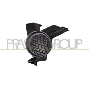 Köp Dörr, karosseri av PRASCO DW0203504 till det låga priset 3126,39 kr