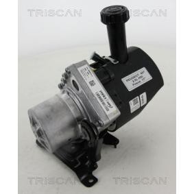 Achetez des Pompe de direction assistée de chez TRISCAN en ligne pour 407 SW Van / Break (6E_) à prix modérés