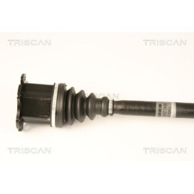 Verschlußschraube, Ölwanne 95-0976 von TRISCAN günstig für 4,79 € online kaufen