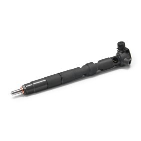 Acquista Supporto polverizzatore da DELPHI 28231462 a buon mercato per soli 318,91 €