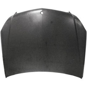 Motorhaube 1672100 von DIEDERICHS günstig für 280,23 € online kaufen