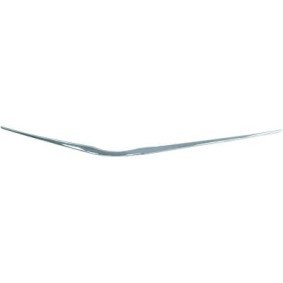 Zier- / Schutzleiste, Kühlergitter 6607041 von DIEDERICHS günstig für 48,81 € online kaufen