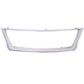 Compre Rebordo, grelha de radiador da BLIC 6502-07-8171993P a um preço baixo por 51,07 €