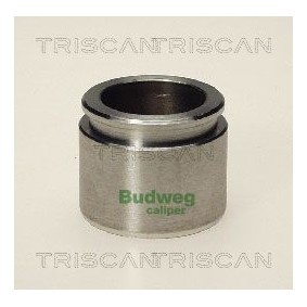 Temperaturschalter, Kühlerlüfter 8625 149095 von TRISCAN günstig für 21,26 € online kaufen