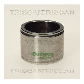 Temperaturschalter, Kühlerlüfter 8625 161095 von TRISCAN günstig für 21,01 € online kaufen