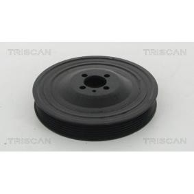 Riemenscheibe, Kurbelwelle 8643 10019 von TRISCAN günstig für 164,10 € online kaufen