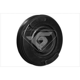 Riemenscheibe, Kurbelwelle DP045 von HUTCHINSON günstig für 174,90 € online kaufen