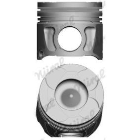 Compre Êmbolo da NÜRAL 87-146100-10 a um preço baixo por 124,71 €