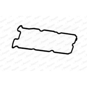 Acquista Guarnizione, Copritestata da PAYEN JM5317 a buon mercato per soli 20,86 €