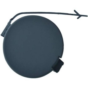 Klappe, Abschlepphaken 3457064 von DIEDERICHS günstig für 14,88 € online kaufen