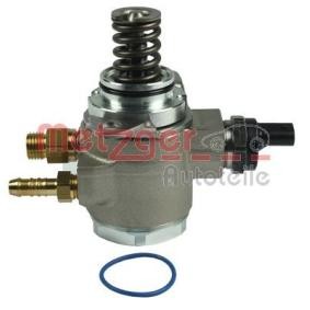 Hochdruckpumpe 2250144 von METZGER günstig für 346,46 € online kaufen