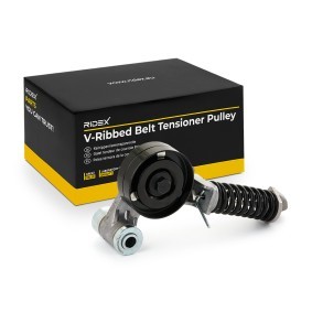 Umlenk- / Führungsrolle, Keilrippenriemen 312D0042 von RIDEX günstig für 19,04 € online kaufen