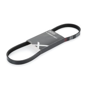 Achetez des Courroie Poly-V RIDEX 305P0125 à prix pour 8,44 €