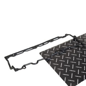 Ventildeckeldichtung 321G0173 von RIDEX günstig für 9,52 € online kaufen