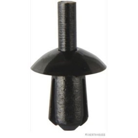 Acquista Rivetto d'espansione da HERTH+BUSS ELPARTS 50267018 a buon mercato per soli 0,56 €