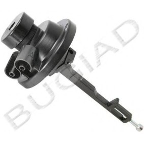 Acquista Capsula pulldown, Carburatore da BUGIAD BSP21467 a buon mercato per soli 10,13 €