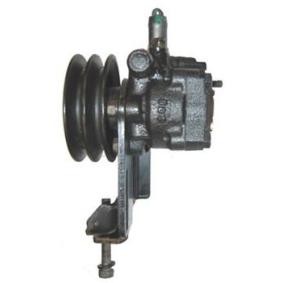 Achetez des Pompe de direction assistée LIZARTE 04.75.1105 à prix pour 280,42 €