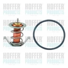 Comprar Termostato, refrigerante de HOFFER 8192715IN a bajo precio de 15,89 €