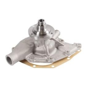 Wasserpumpe 22 94 4198 von SWAG günstig für 113,02 € online kaufen