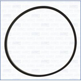 Acquista Guarnizione, Collettore aspirazione da AJUSA 24034200 a buon mercato per soli 2,81 €