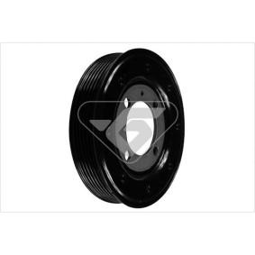 Acquista Puleggia cinghia albero a gomiti da HUTCHINSON DP032 a buon mercato per soli 119,10 €