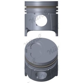 Compre Êmbolo da NÜRAL 87-323600-00 a um preço baixo por 160,70 €