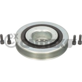 Comprar Polea de cigüeñal de CAUTEX 011441 a bajo precio de 129,46 €