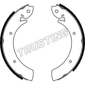 Bremsbackensatz für DAEWOO von TRUSTING