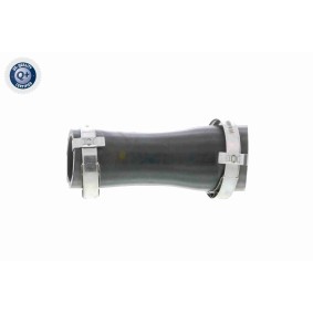 Comprar Polea tensora, correa poli V de VAICO V25-0345 a bajo precio de 50,06 €
