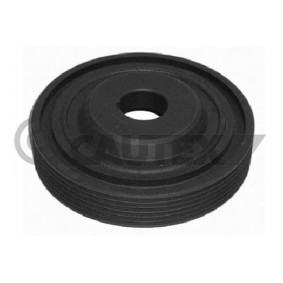 Comprar Polea de cigüeñal de CAUTEX 080918 a bajo precio de 118,65 €