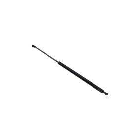Comprar Amortiguador de maletero de AUTOMEGA 100005810 a bajo precio de 16,49 €