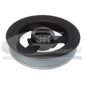 Achetez des Poulie damper (vilebrequin) 3RG 10113 à prix pour 57,88 €