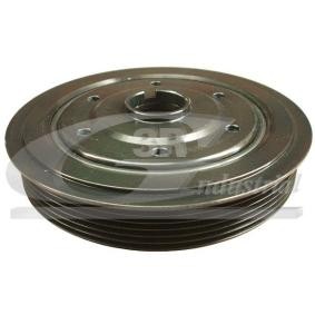 Achetez des Poulie damper (vilebrequin) 3RG 10301 à prix pour 71,64 €
