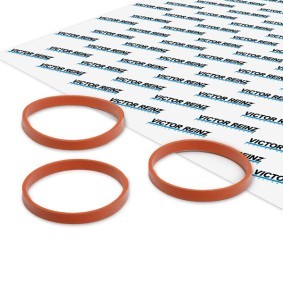 Comprar Juego de juntas, colector de admisión de REINZ 11-11551-01 a bajo precio de 9,28 €