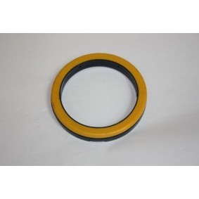 Acquista Supporto braccio oscillante da AUTOMEGA 110026510 a buon mercato per soli 6,87 €