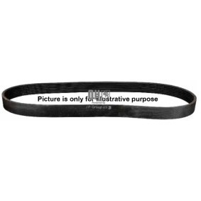 Achetez des Courroie Poly-V JP GROUP 1118107800 à prix pour 21,52 €