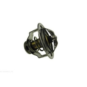 Comprar Interruptor intermitente de aviso de AUTOMEGA 150049010 a bajo precio de 10,41 €