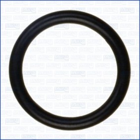 Comprar Junta, colector de admisión de AJUSA 16063100 a bajo precio de 2,16 €